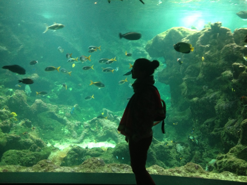 Aquarium de Brest, Finistère